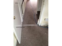 Budget Carpet Cleaning   Manchester 360492 Image 2